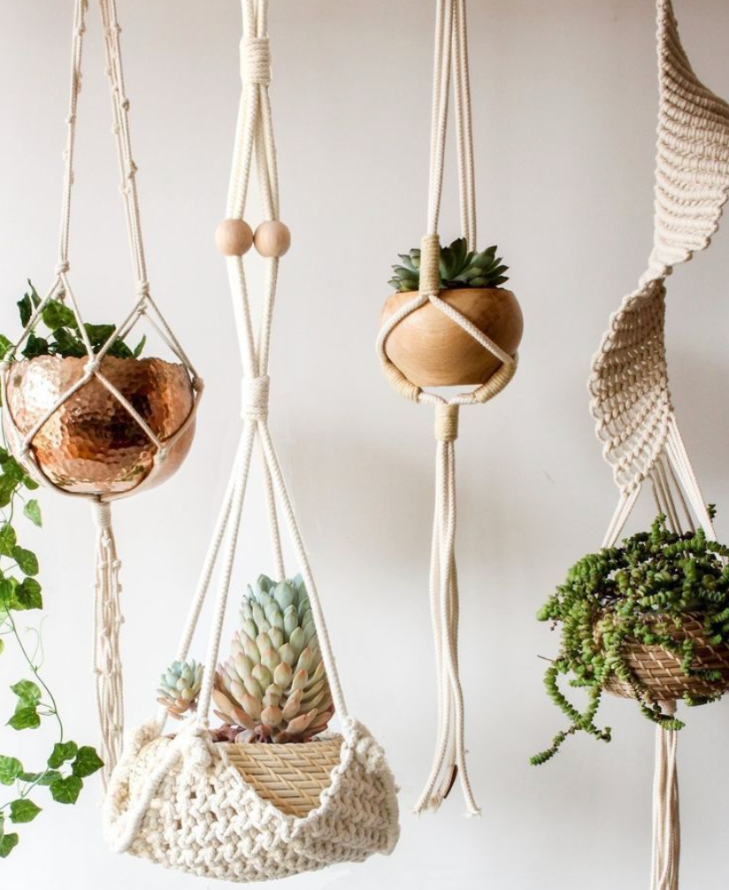 Plant Hanger