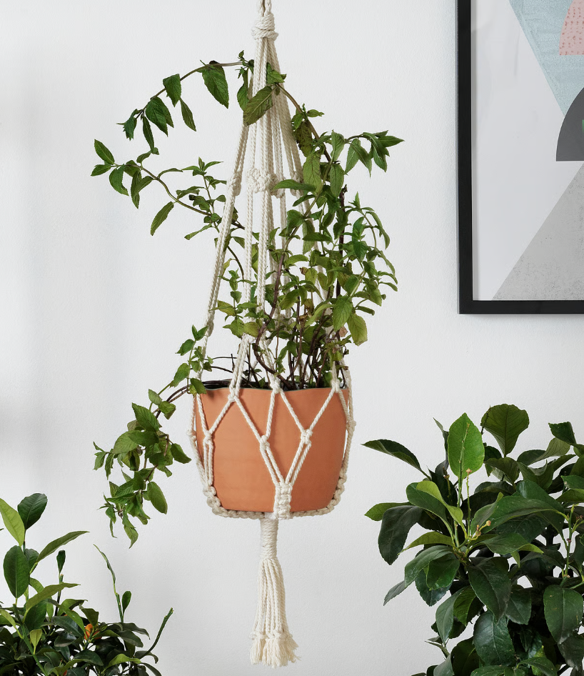 Handmade Plant Hanger | Macrame Hanging Planter for Indoor & Outdoor Use